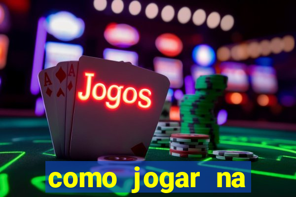 como jogar na lotinha do jogo do bicho